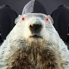 Shadow Seer [ A Punxsutawney Phil Mashup ]