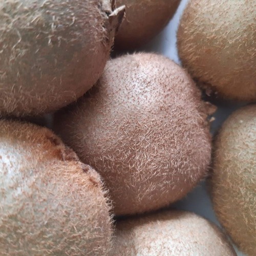 If Music Presents You Need This w/ Jean-Claude 170422