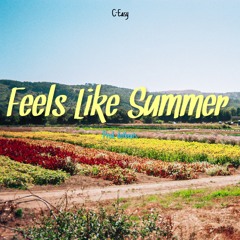 Feels Like Summer