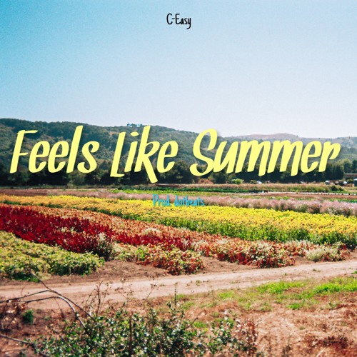 Feels Like Summer