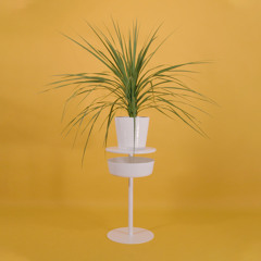 your mum loves garage