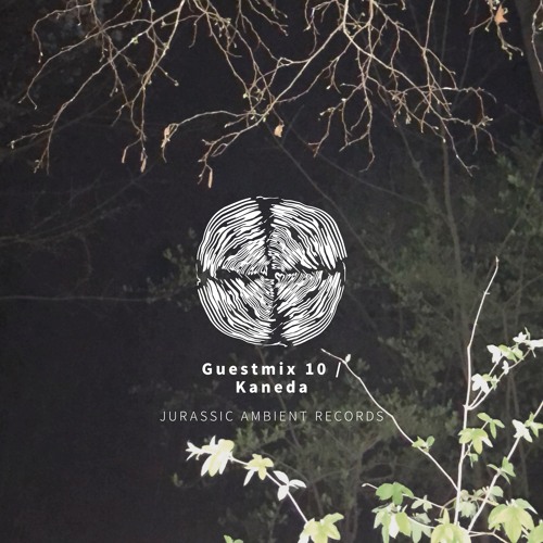 Guestmix_10_Kaneda