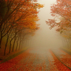 You Have Lost Face (Original Mix)