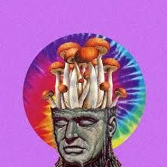 Acid Machine & Lunariya - Check It Out