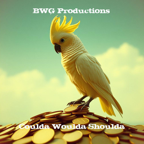 Coulda Woulda Shoulda