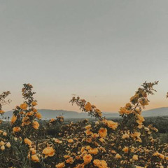 radiohead creep cover