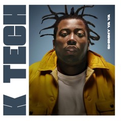 SHIMMY YA YA (SPEED GARAGE EDIT)