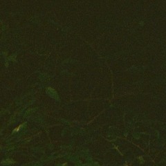 evan moitoso - plugghouse (produced by evan moitoso)