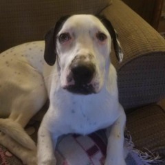 idgaf lil peep ft juice wrld (extended juice wrld verse)