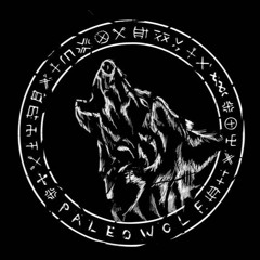 1 Hour Paleowarrior Music  Powerful Dark Tribal  Ancestral Ambient  Shamanic Drums By Paleowolf
