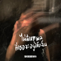 ไม่มีเหตุผล