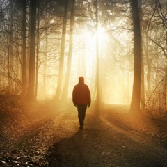 Into the light