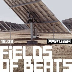 Fields of Beats / @Luzztro / August 23