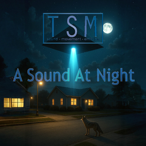 A Sound At Night