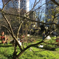 Droit à un environnement sain. Injustices & vécus en quartiers populaires [Anne-Laure Legendre,UVSQ]