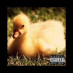 Lil Phallus - Ducky