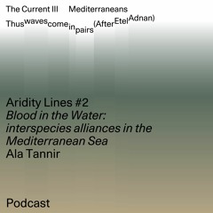 Aridity Lines: Blood in the Water: interspecies alliances in the Mediterranean Sea