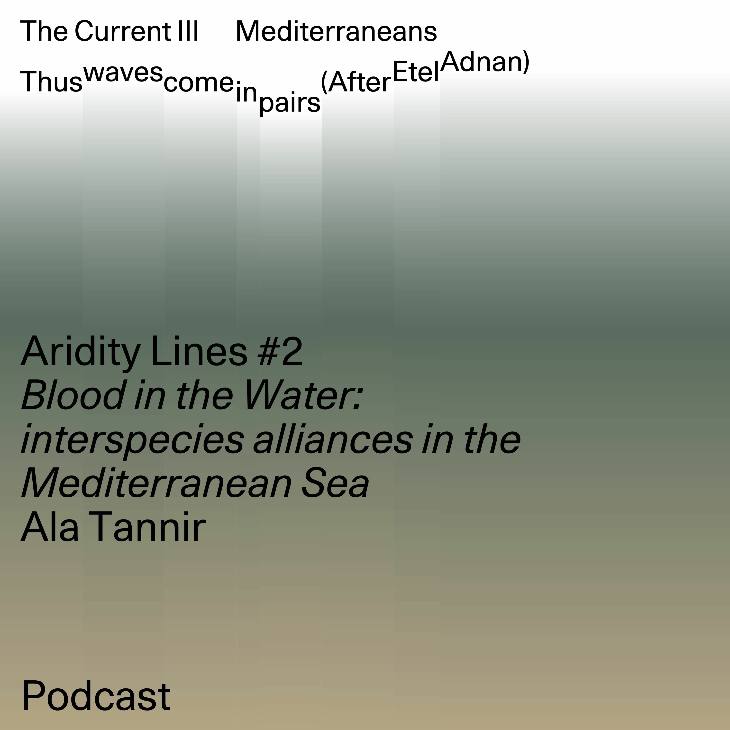 TBA21–Academy Radio