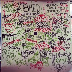 Shed Theory ꜱɴɪᴘᴘᴇᴛꜱ