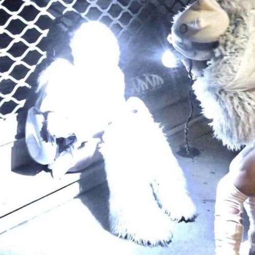 2 birds no stone feat ryzoo!