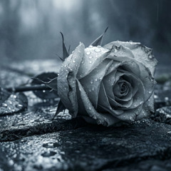 I Call Your Name (The Midnight Session)