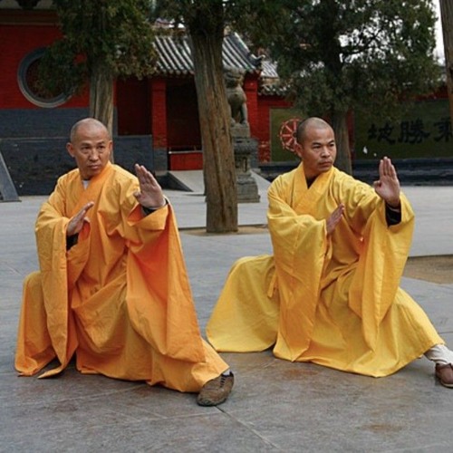 Kung Fu