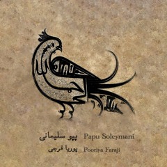 Papu Soleymani