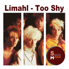 Stream Limahl - Too Shy (Soulful Mashup) by Soulful Mashup