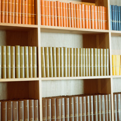 Season 01 | November