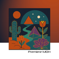 PREMIERE: Oliver Koletzki  - Tankwa Town (Yael Loheit Remix)