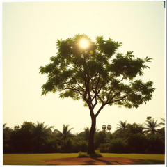 God’s Green Right