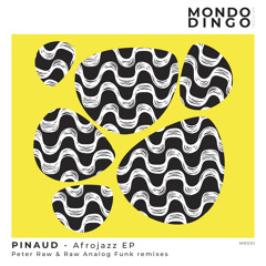 PREMIERE: Pinaud - Afrojazz (Peter Raw Remix) [Mondo Dingo Records]
