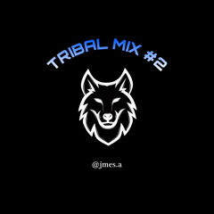 DJ ZUU TRIBAL MIX #2