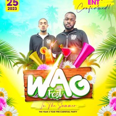 Pure Vibes Ent - Live At WAG Fest 25.08.2023