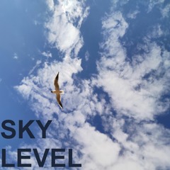 Sky Level
