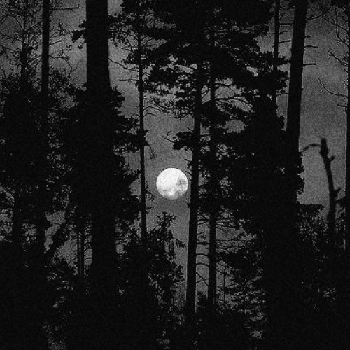 sotto la luna