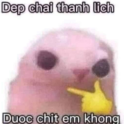 nhacj tapj aam cho nguoiwf taf daam
