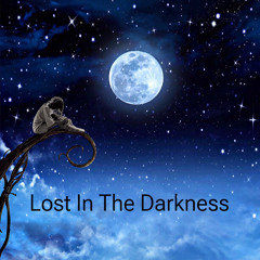 Lost in The Darkness(Single)