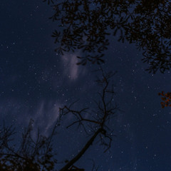 Night Songs (for Novachord) (Michael Calabris, Novachord)