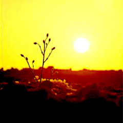 Dawn of the Equinox (The Light Returns)