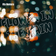 Uta Nomura - Flower in the Rain