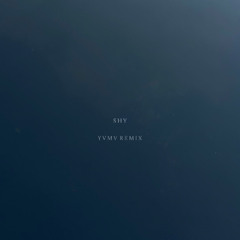Shy - YVMV remix