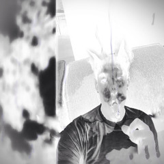 In Giro Con I Miei Cani ᶻ 𝗓 𐰁 .ᐟ sxilence Sniper edit ⊹