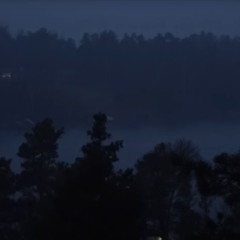 belmont girl - drugs hoes money etc