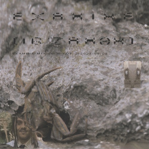 examine-mix-50-w-kop-z-2023-09-02
