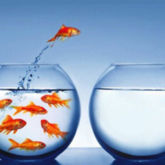 w. Cayx666 - fvck🤷‍♂️🏃💯😮‍💨