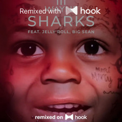 Lil Wayne x Daddyphatsnaps - Sharks (feat. Jelly Roll, Big Sean) x John Wick (The Boogeyman) (@swaggyvampire019 Hook Mashup)