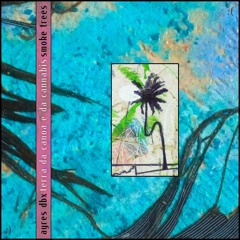 01 - Terra da Canoa e da Cannabis - AYRES_DBX • Smoke Trees