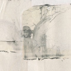 Echopraxia (Trancebreaks Mix)