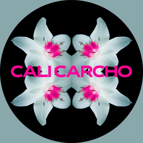 Rave in der Röhre - Cali Caracho Solid Hard Groove Set